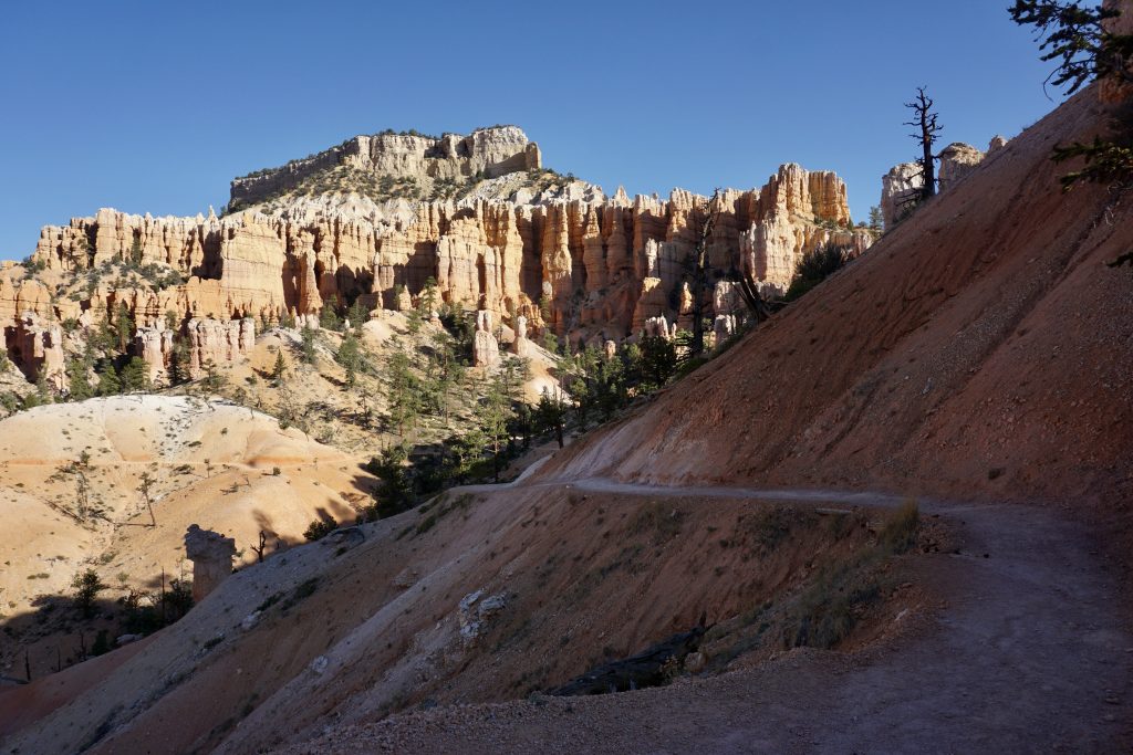a curvy trail leading to an open view of a column of hoodoos, bryce canyon