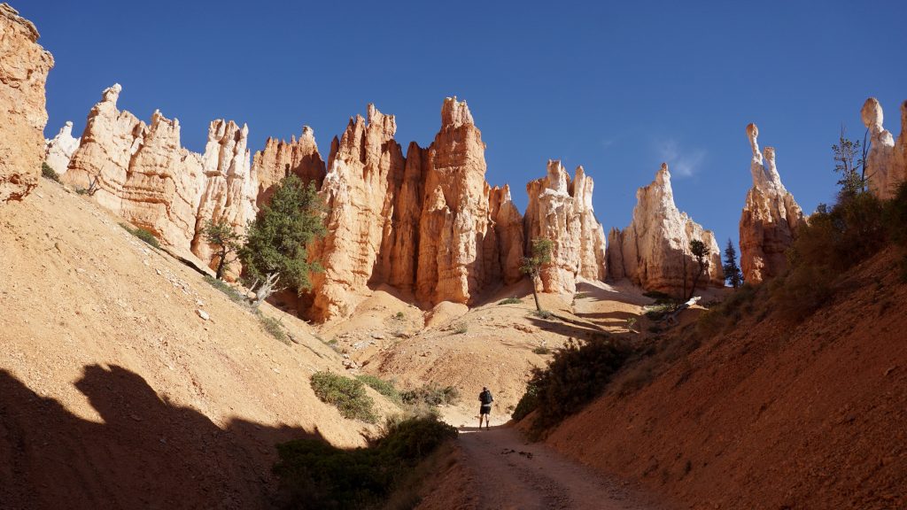 a hiker in front of a column of hoodoos, bryce canyon
