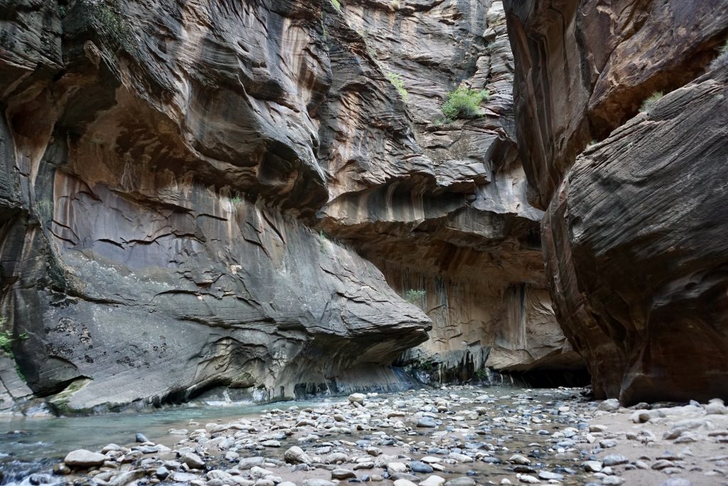 A small river trickling between tall rocks, the Narrows in Zion NP