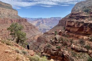 A hiker standing at the viewpoint in Grand Canyon